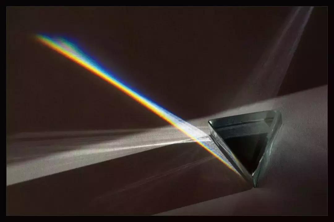 乱花渐欲迷人眼中的乱字赏析,乱花渐欲迷人眼怎么看