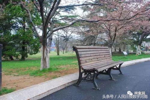 我爱你郑州,郑州我爱你