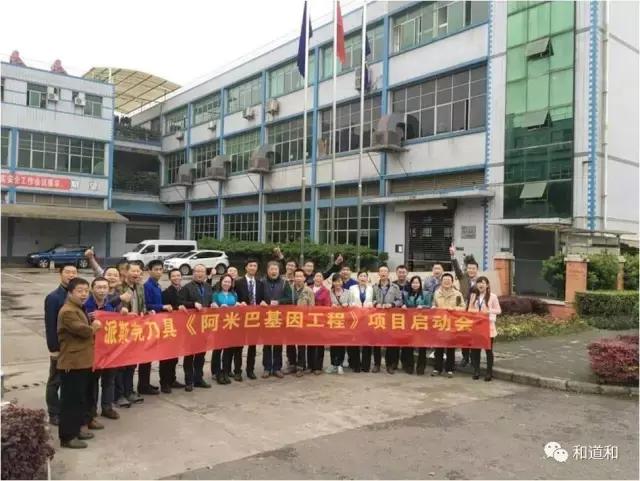 真正的阿米巴经营是什么,中国式阿米巴经营模式