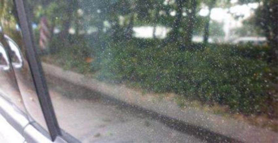 车子玻璃边缘发霉怎么处理,玻璃发霉用什么办法能清理掉