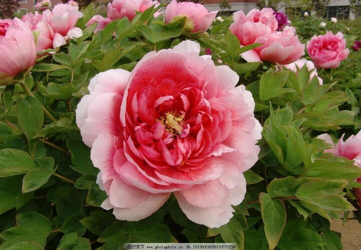 今天29，打开就能幸福久久！幸福相册！请收下给你的祝福哦