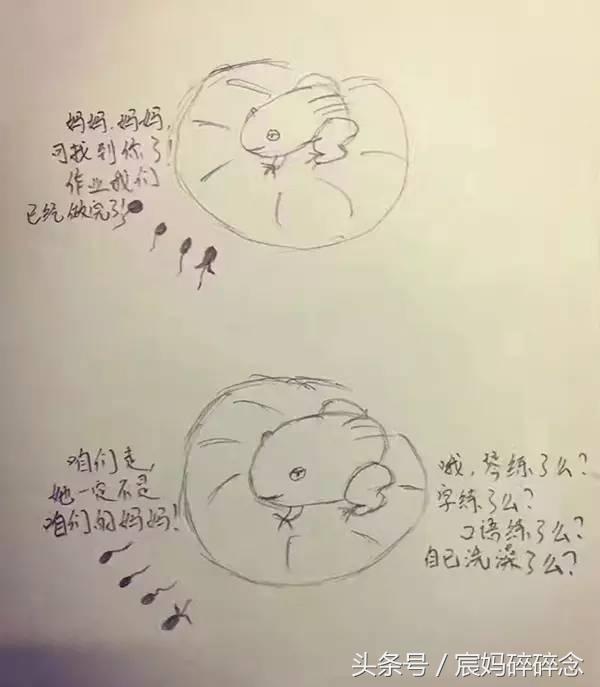 教孩子写作业亲妈秒变后妈,教写作业亲妈变后妈