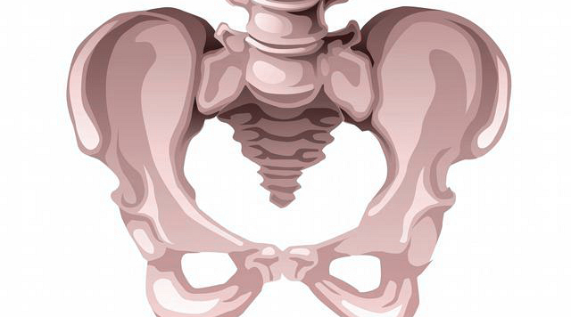 骨盆前倾的危害及矫正方法,骨盆前倾影响哪些健身动作