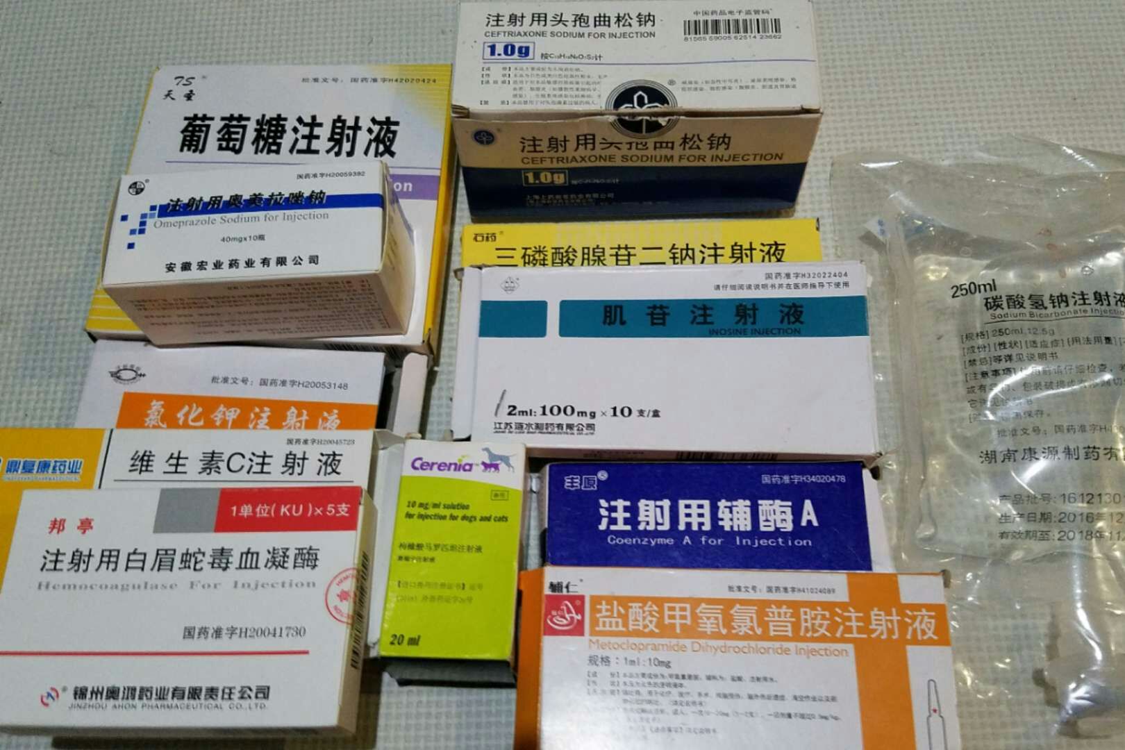 治疗犬细小病毒药物大全,犬细小病毒治疗方法用量多少