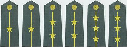 中国军衔和军官资历大全,中国的军官军衔等级