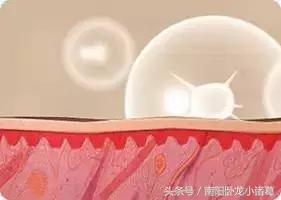 南阳时光：人家都拿来当手霜了，你还当做是奢侈品？