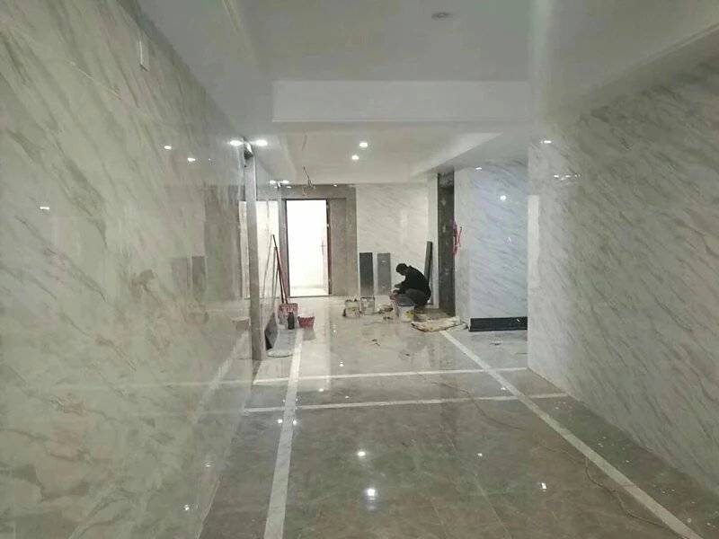 公明李松蓢300块钱的房子,李松蓢房子