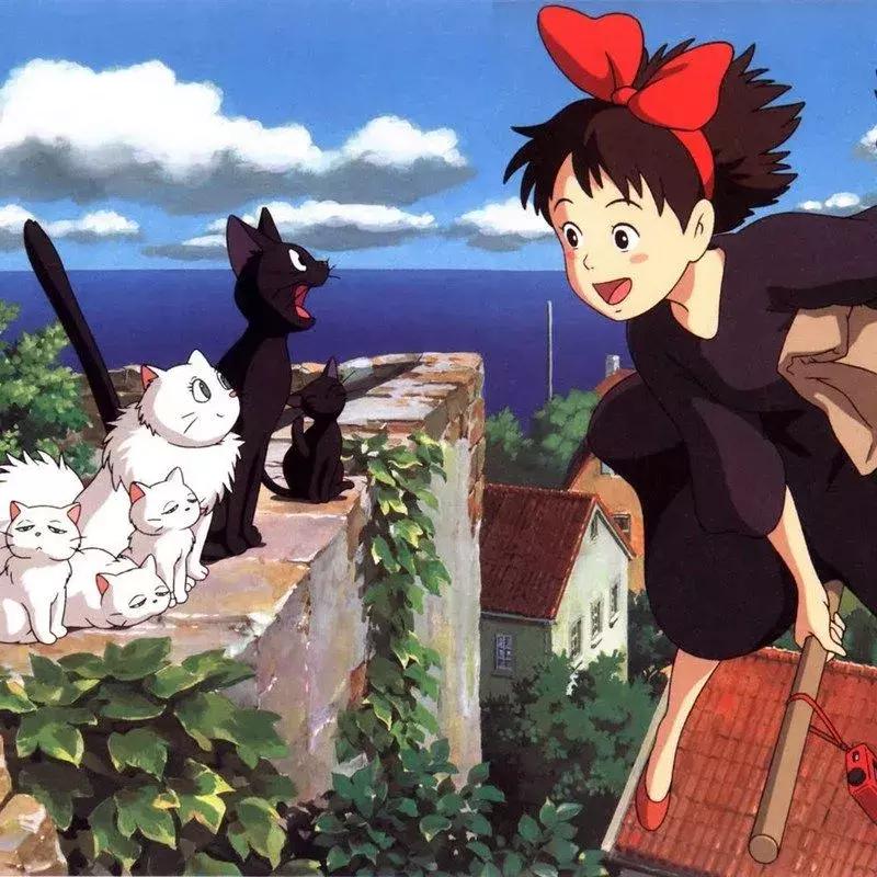 感觉自己养了一只猫是假猫 (你会觉得自己养了一只假猫吗)