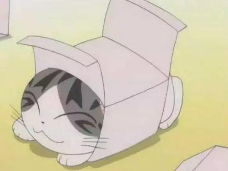 感觉自己养了一只猫是假猫 (你会觉得自己养了一只假猫吗)