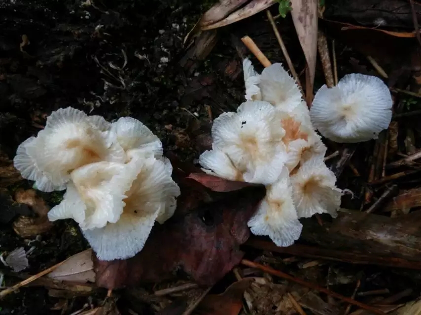 骑行云南山路是不是特别多,骑行滇藏困难处