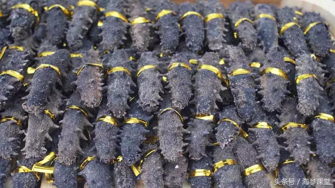 海参鉴别最简单方法,如何鉴别海参的品质