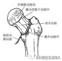 鬼门关前一道坎（上篇）：家里老人滑到了，胯部骨折了严重吗？