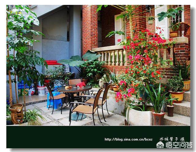 鼓浪屿民宿推荐靠近码头,喜欢鼓浪屿的小店