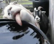 健身的人为什么容易疲劳,健身的人非常饿