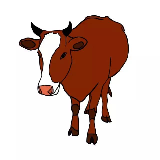 十二属相阴阳命速查表,十二属相各是什么命