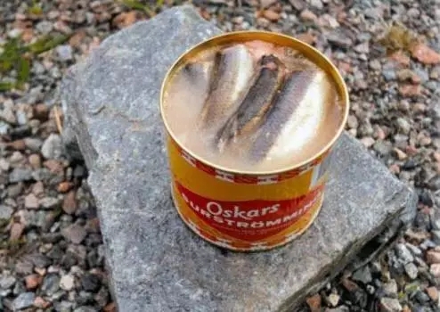 原来这些东西可以带上飞机,可以带上飞机的旅行物品