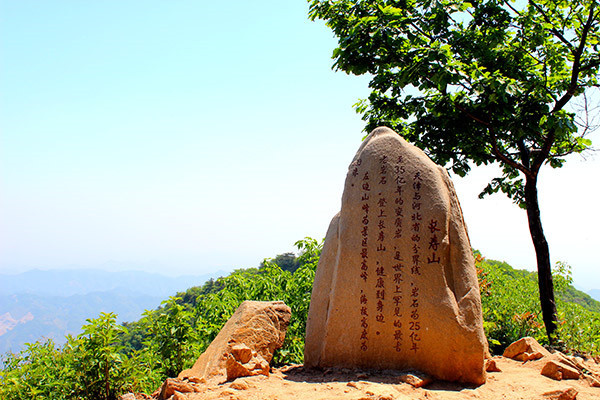 天津一日游必去的5个景点,天津2024年学生春游地点
