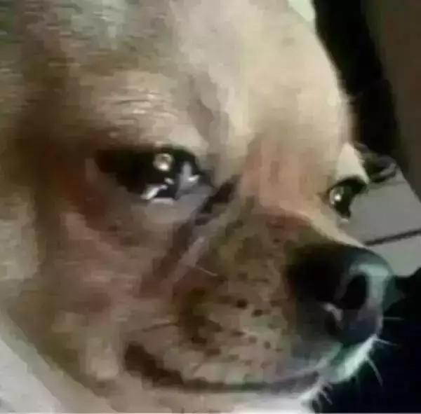 缇庡浗鏍″洯鐢靛奖鎺掕姒滃墠鍗佸悕,缇庡浗鏍″洯鍍靛案鐢靛奖