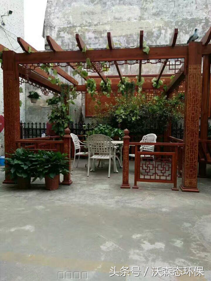 花架庭院藤蔓植物,花架藤蔓植物