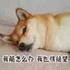 福州7月房价各区一览表,福州琴亭湖畔小区房价多少