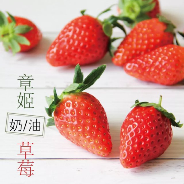 陈冠希吃的苹果,陈冠希吃的白草莓什么品种