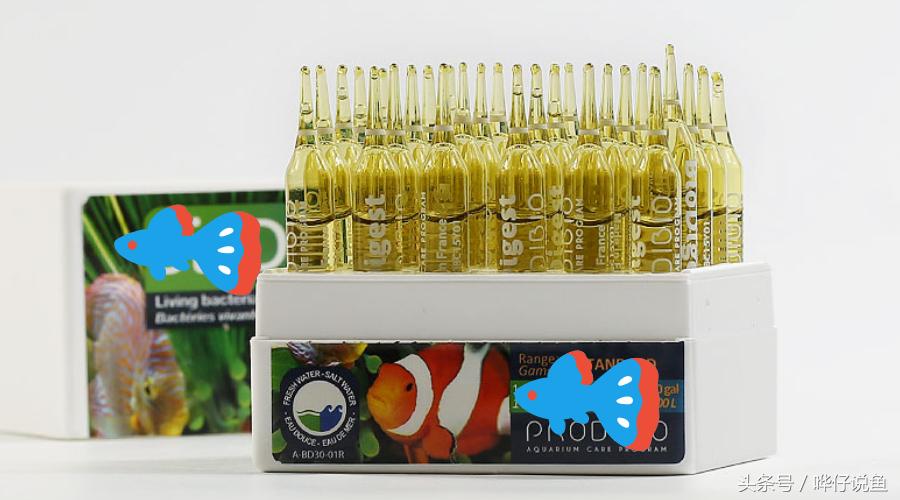 不加硝化细菌新鱼缸能养鱼吗,鱼缸如何不用硝化细菌养鱼