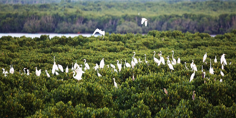 海南省乡村旅游发展现状与策略,海南发展旅游业的有利条件