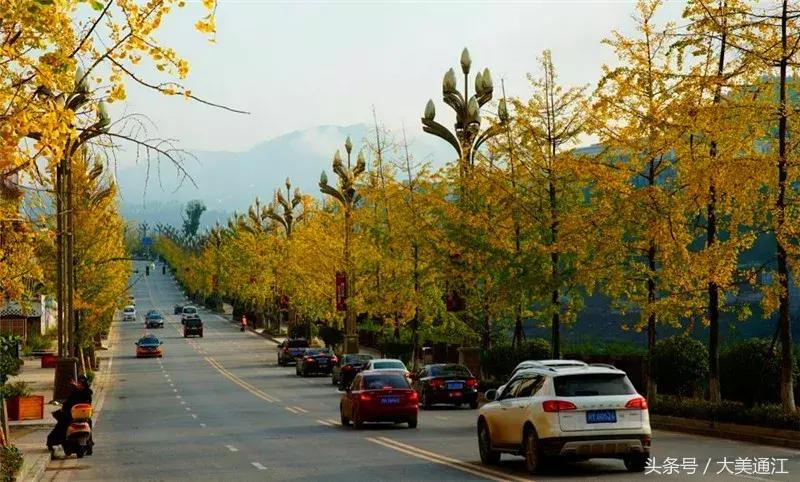 通江是什么地方,什么是通证