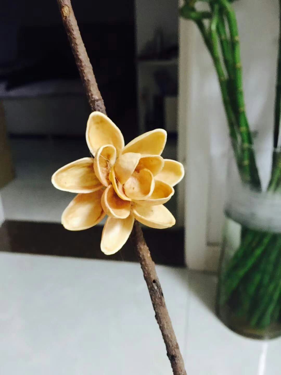 浪漫的爱情故事,浪漫的爱情歌曲