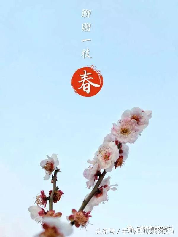 动动手指就能做出美丽的作品,动动手指头就能找到照片的乐趣