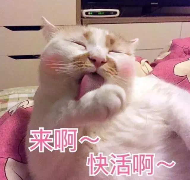 美妆好看的颜色,30块钱以下平价好用的口红或唇釉