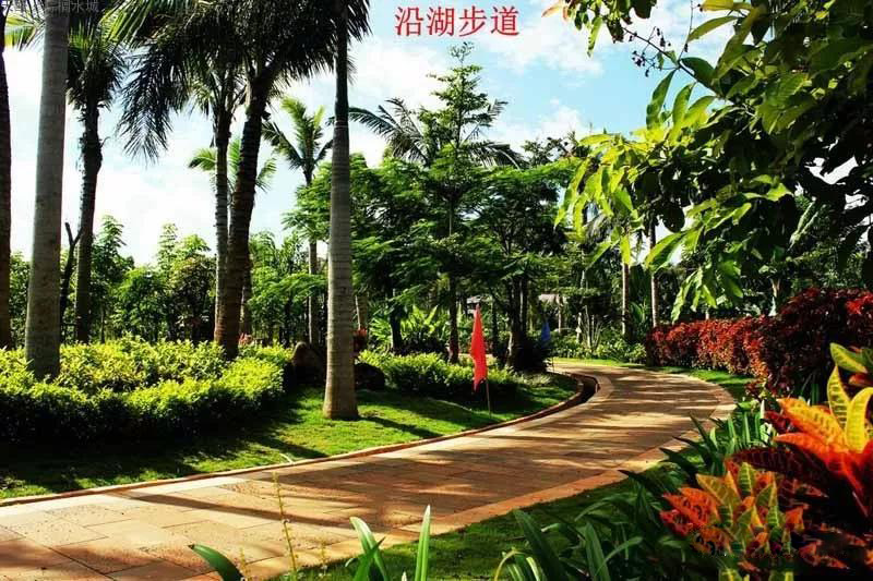 海南8千元左右的房源,海南房源最新价格