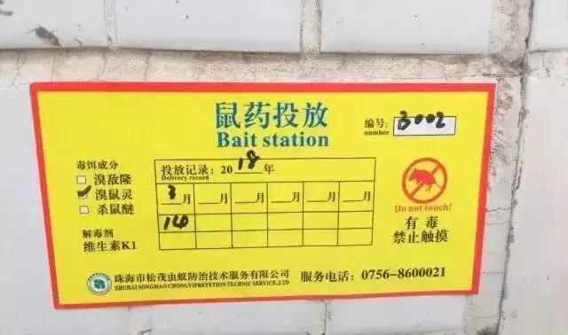 除四害消灭老鼠,治理四害老鼠