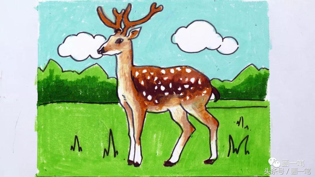 吃竹子的小熊猫怎么画简单又好看,怎么画正在竹林里吃竹子的小熊猫