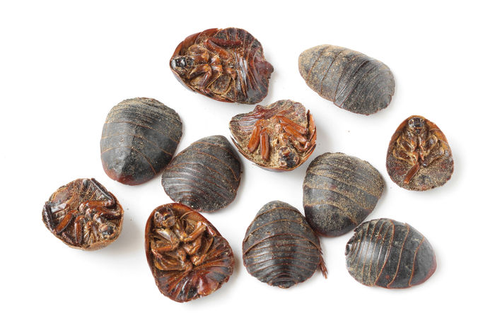 李祥云中医,中医专家李祥云