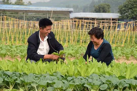 风风火火河南婆闯荡东莞成巾帼