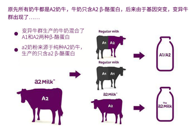 澳洲a2新款奶粉,澳洲牛奶a2官网