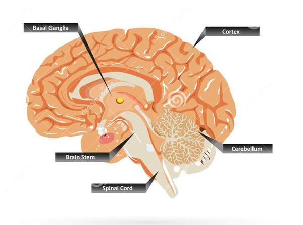 李敖脑癌死前告别,风流浪子李敖完整版视频