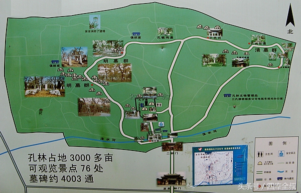 孔林山东曲阜,曲阜孔林古会