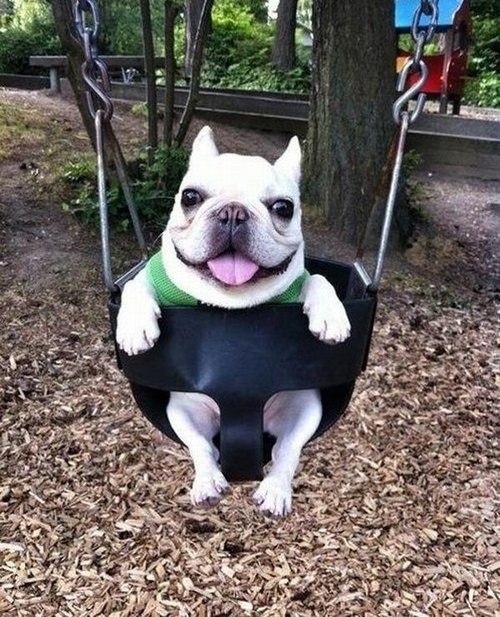 来个开心一下的笑话,发个笑话开心😄一下