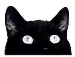 M闺蜜会遇到了一枚闪闪发光的女子