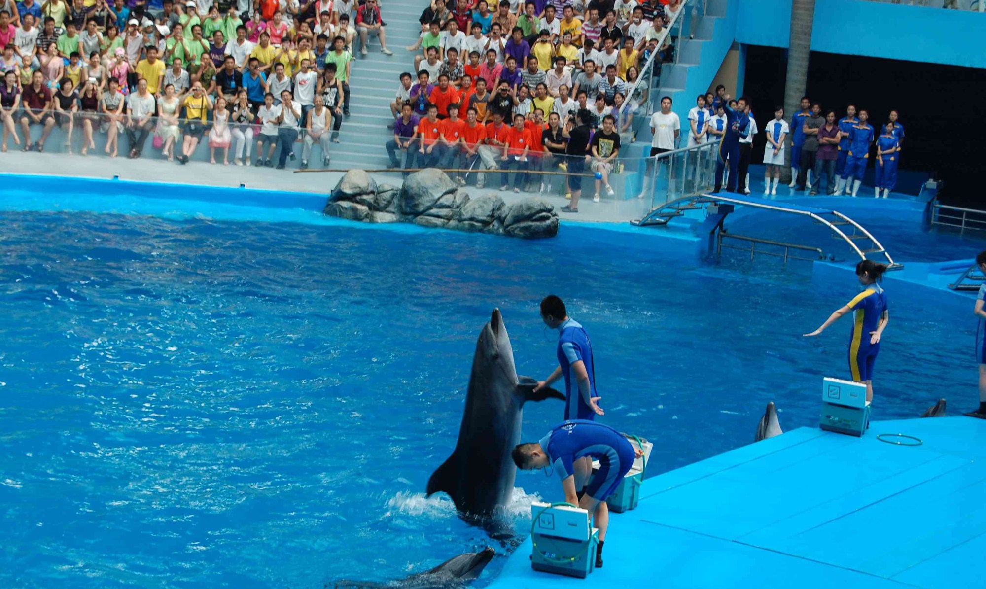 成都海昌极地海洋世界年卡,成都海昌极地海洋世界游玩攻略