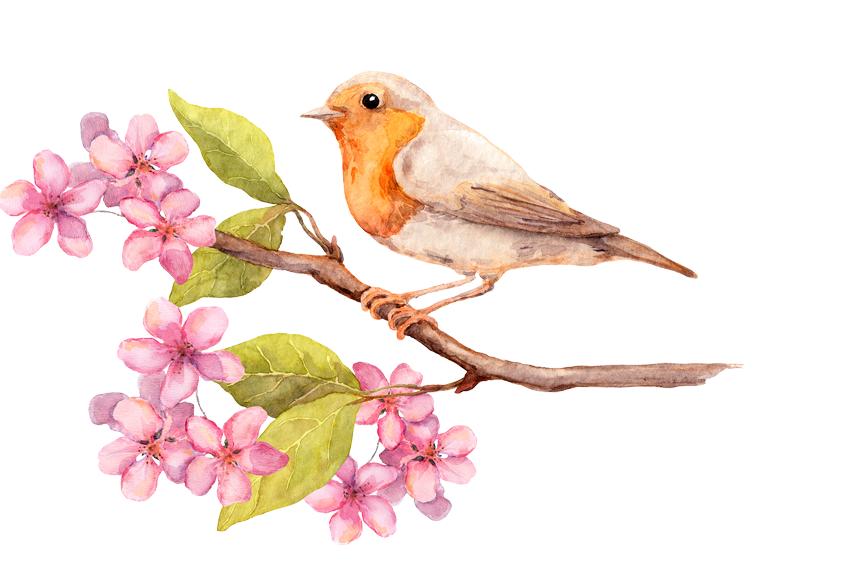 五行八卦如何看今年的运势,五行运势每日一览表