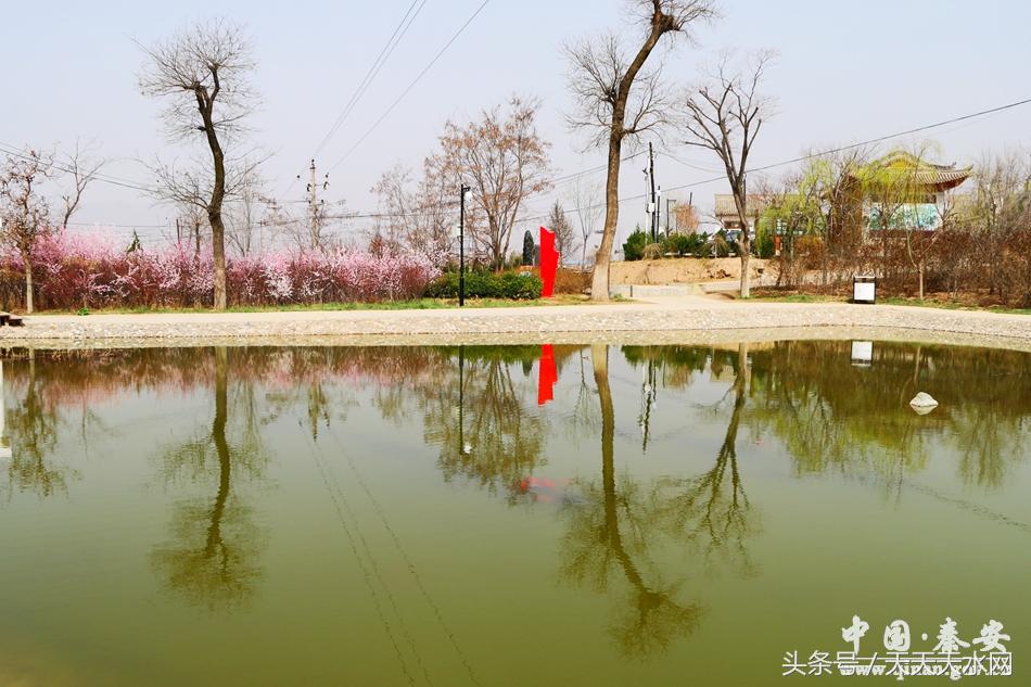 秦安:芳蕊遍地蜜蜂闹*光春**明媚凤山娇