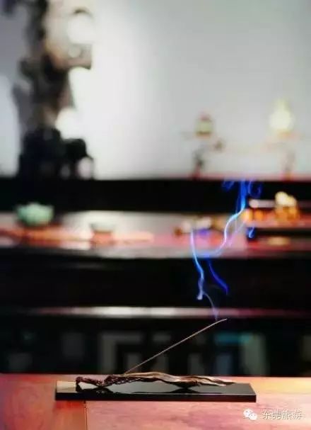 向春天出发跟着我走吧,向春天出发朗读