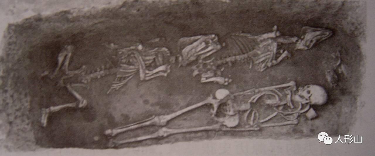 曹操与陶渊明,曹操和李时珍