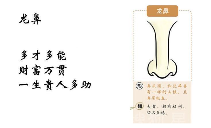 面相中鼻子大的面相解读,富贵鼻子的吉利面相解析大全