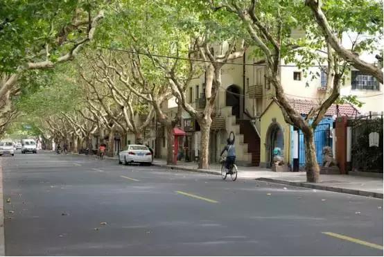 上海网红路前十名,上海网红马路