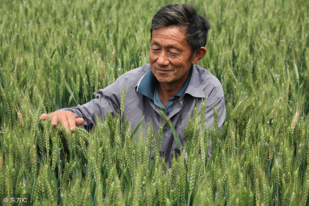 农村创业项目成功的两个必备条件,农民缺钱怎么办