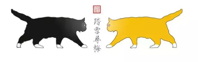 猫谱:因相成名,因名成谱《蓝毛毛找猫》24:猫出有名
